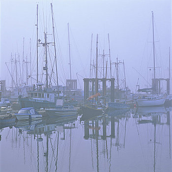 渔船,停靠,港口,环太平洋国家公园,温哥华岛,不列颠哥伦比亚省,加拿大