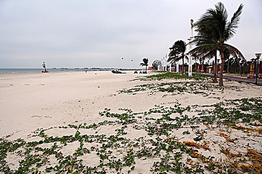 北海,银滩,椰子树,沙滩,浴场,游客,海水,平静,风光,自然