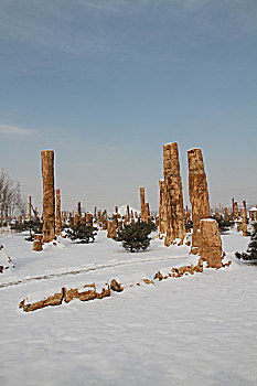 木化石雪景