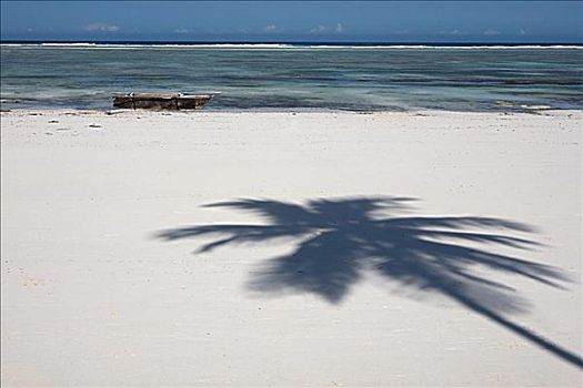 影子,棕榈树,海滩