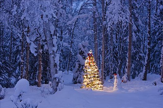 雪人,圣诞帽,悬挂,装饰,圣诞树,积雪,桦树,树林,阿拉斯加