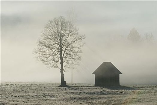 雾状,风景,国家公园,施蒂里亚,上奥地利州,欧洲