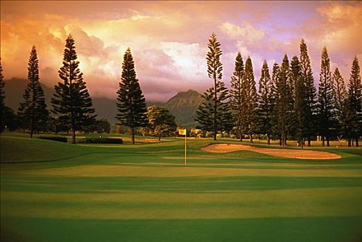 夏威夷,考艾岛,普林斯维尔,胜地,木头,高尔夫球场