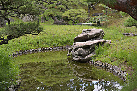 斑点,公园,日本