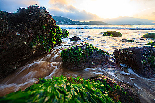 海浪,礁石,水草,绿色,石头