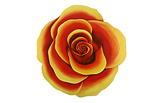 插画,玫瑰,红色,黄色,盛开,特写,俯视,绘画,艺术,植物,花,花瓣,自然