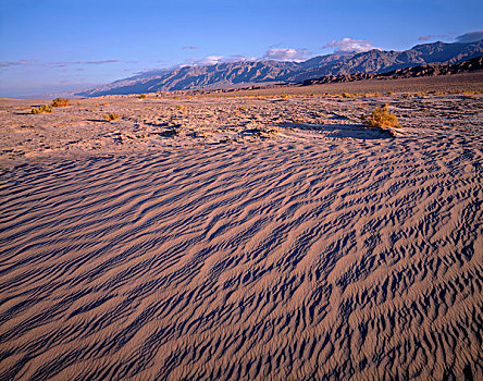 美国,加利福尼亚,死亡谷国家公园,质地,沙丘,葡萄藤,山,远景,大幅,尺寸
