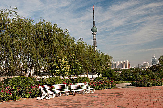 清晨的洛阳河畔风景