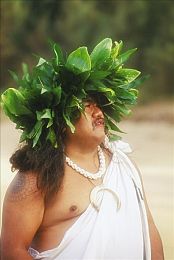传统夏威夷人图片