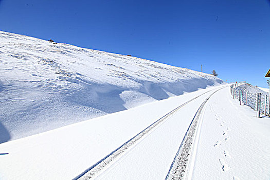 东天山雪韵