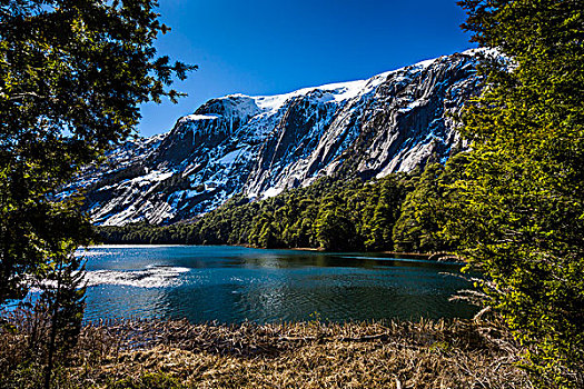 风景,湖,山,纳韦尔瓦皮,国家公园,阿根廷