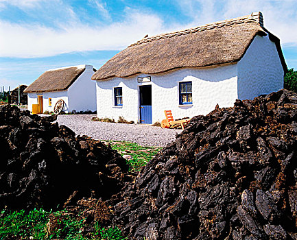 湿地,乡村,博物馆,爱尔兰,传统,屋舍