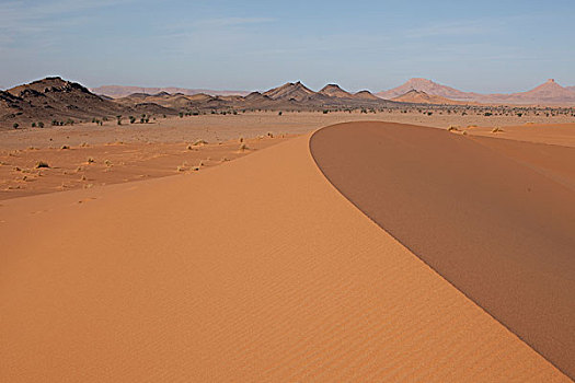 沙丘,边界,阿尔及利亚,撒哈拉沙漠,南方,摩洛哥,非洲