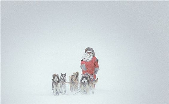 圣诞老人,狗队,冬天,数码合成,阿拉斯加