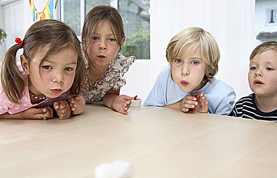 孩子,桌子,棉絮,玩,有趣