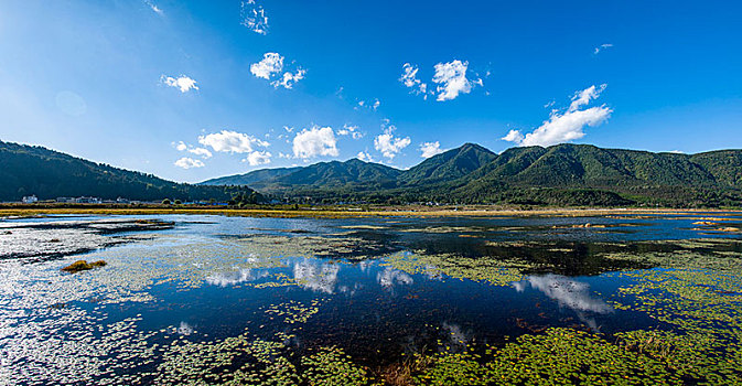 云南省腾冲北海湿地