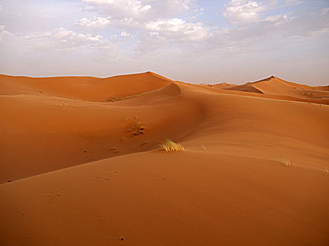 沙丘,却比沙丘,沙漠,靠近,梅如卡,摩洛哥,北非,非洲