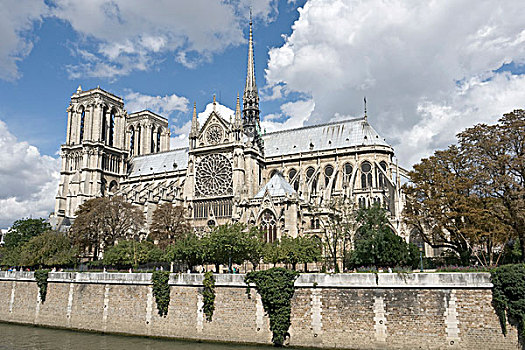 巴黎圣母院,大教堂,南,景色,圆屋顶,巴黎,法国,欧洲