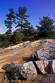 花冈岩,基岩,加拿大地盾,松树,白鲑,北方,岛屿,乔治亚湾,休伦湖,安大略省,加拿大
