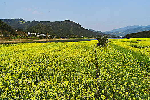 新安江山水画廊