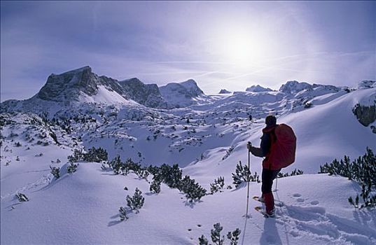 雪鞋,山丘,施蒂里亚,奥地利,欧洲