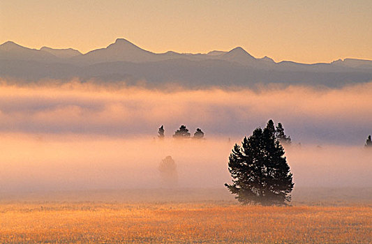 雾,日出,鹈鹕,山谷,黄石国家公园,怀俄明,美国