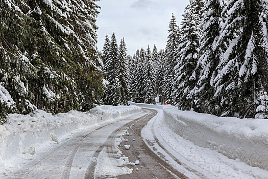 雪,冬天,道路,斯洛文尼亚