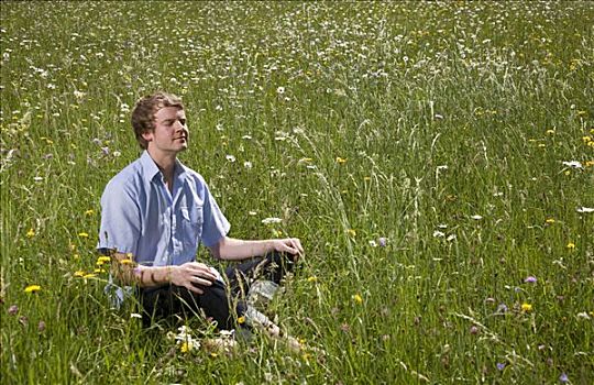 男人,坐,草丛,春花