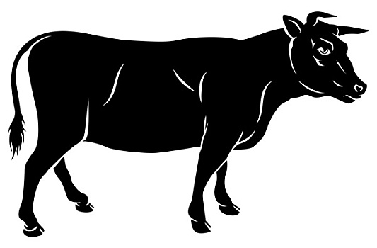 母牛,牛市,牛肉,插画