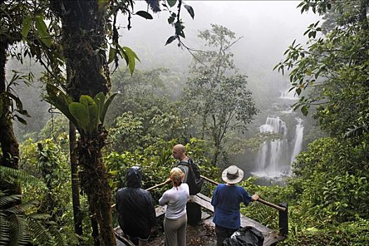 游客,视点,瀑布,哥斯达黎加