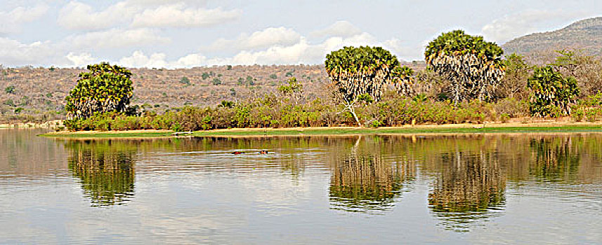 坦桑尼亚,禁猎区,湖