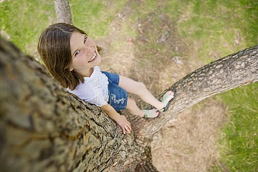 女孩,肖像,树上