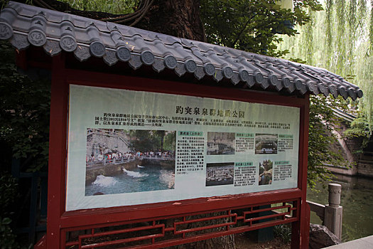 泉城济南多日降雨,助力黑虎泉群激情喷涌