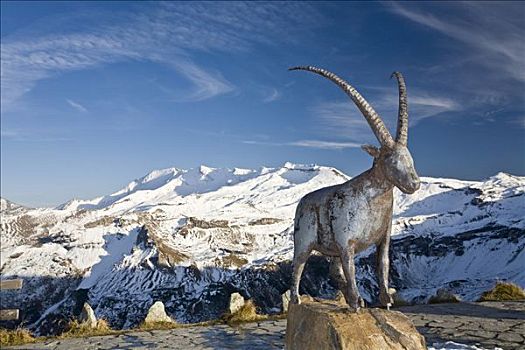 雕塑,野山羊,高,高山,道路,上陶恩山国家公园,卡林西亚,奥地利,欧洲