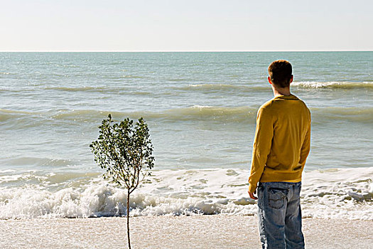 站立,男人,旁侧,小,树,海滩,观景