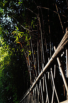 成都浣花溪公园,竹笼边的竹篱笆