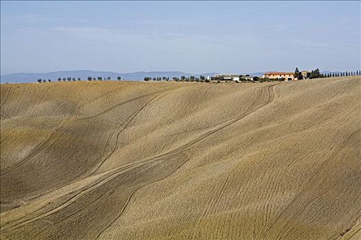 克里特岛,风景,托斯卡纳,意大利,欧洲