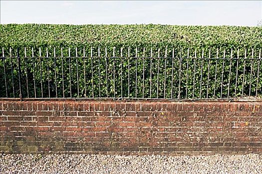 树篱,墙壁