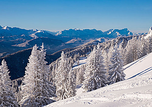 冬季风景,楚格峰,后面,右边,兰格丽斯,巴伐利亚,上巴伐利亚,德国,欧洲