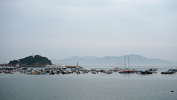 青岛飞翔码头停靠了很多船