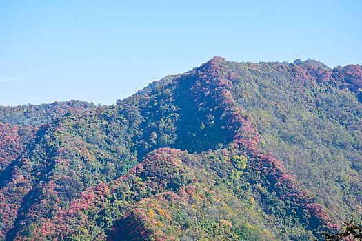 秦岭的秋