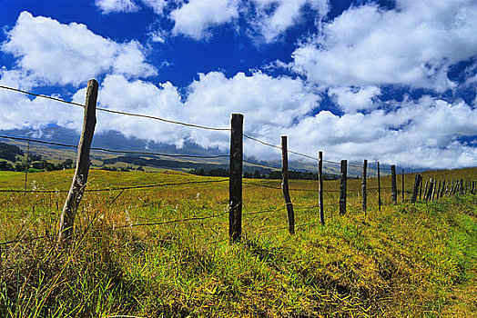 刺铁丝网,地点,哈雷阿卡拉火山,毛伊岛,夏威夷,美国
