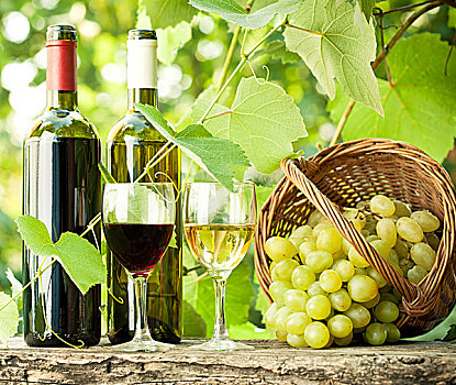 红色,白色,葡萄酒瓶,两个,玻璃杯,葡萄串,老,木桌子,葡萄园