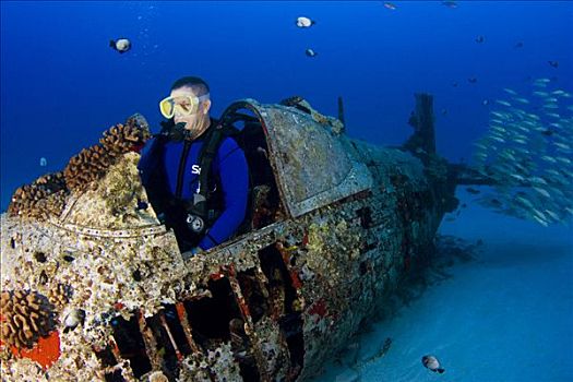 夏威夷,瓦胡岛,男性,潜水,探索,二战,战斗机,残骸