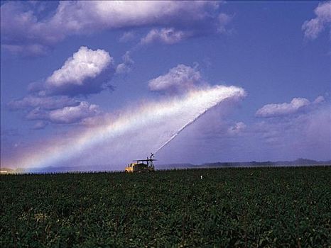灌溉,农业,彩虹,喷水,佛罗里达,美国,北美