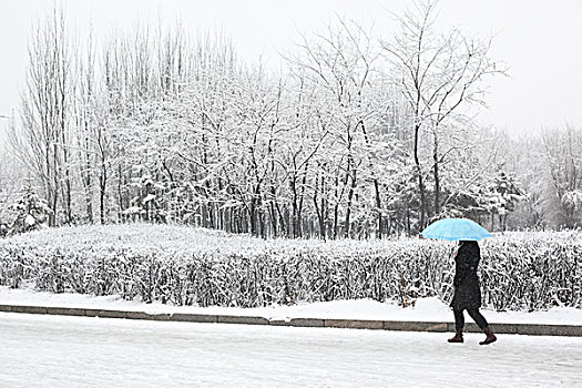 公园雪景