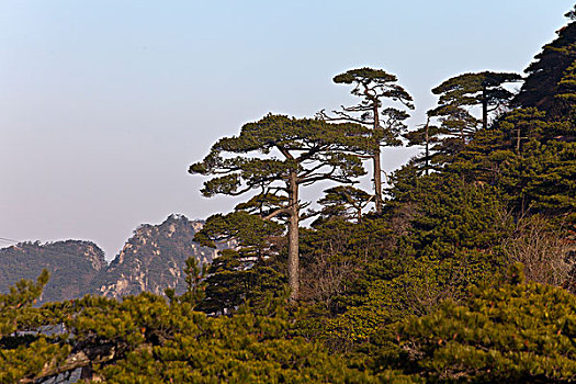 黄山,自然风光