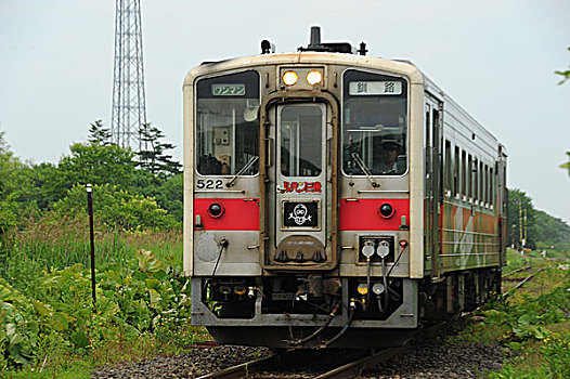 车站,羽扇豆,第三,列车,日本