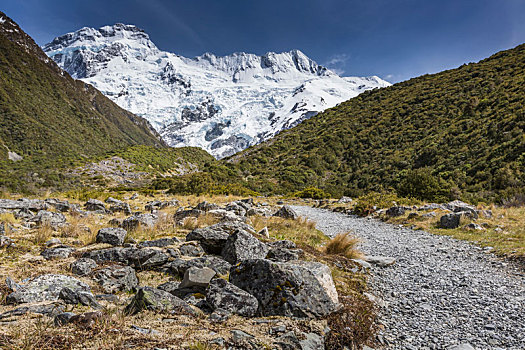 漂亮,风景,冰河,库克山国家公园,南岛,新西兰