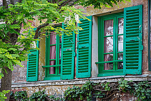 绿色,窗户,敏捷,历史,蒙马特尔,巴黎,法国